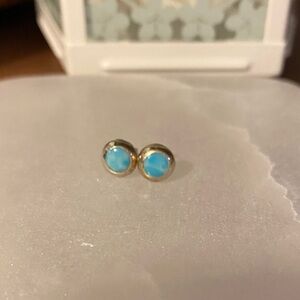 Larimar Stud Earrings